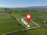 KUZEY GAYRİMENKUL'DEN BAYINDIR ÇATAL CİVARINDA 10.800 M² SATILIK TARLA